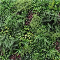 Perete verde artificial - VV 6135 GreenWall Rainforest -1x1 m