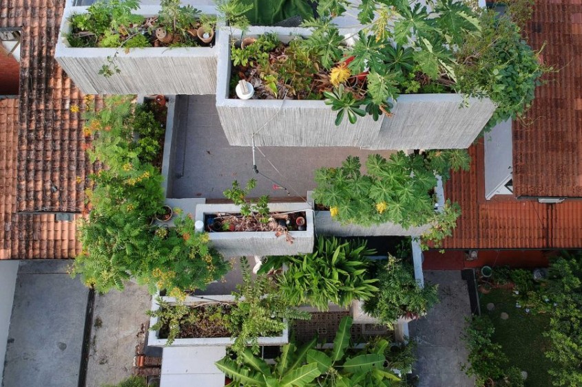 Casa-jardinieră în care proprietarii cresc zeci de specii de plante comestibile 