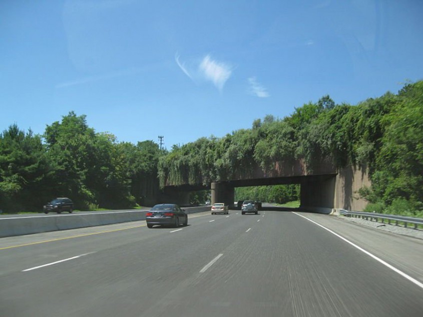 Pod pentru animale peste autostrada Interstate 78 din New Jersey, SUA