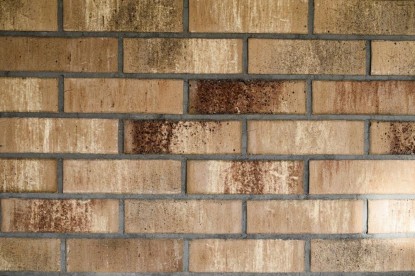 Caramida aparenta vazuta de aproape  Brasov Amedio Ideas