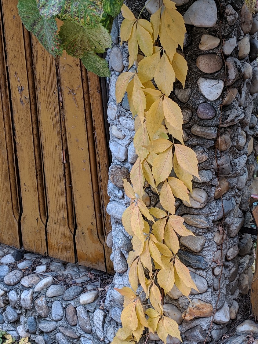 Cum s-a văzut noiembrie la noi. Imaginile cu care ne luăm rămas-bun de la toamnă