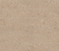 Parchet pluta WISE Shell Jasmin PROMO