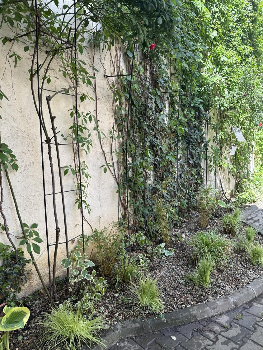 Restaurantul Grano, Teheran