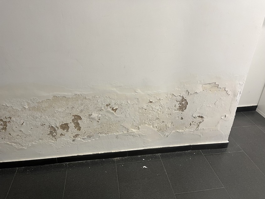 Funcționează Mursec Eco în subsoluri umede?