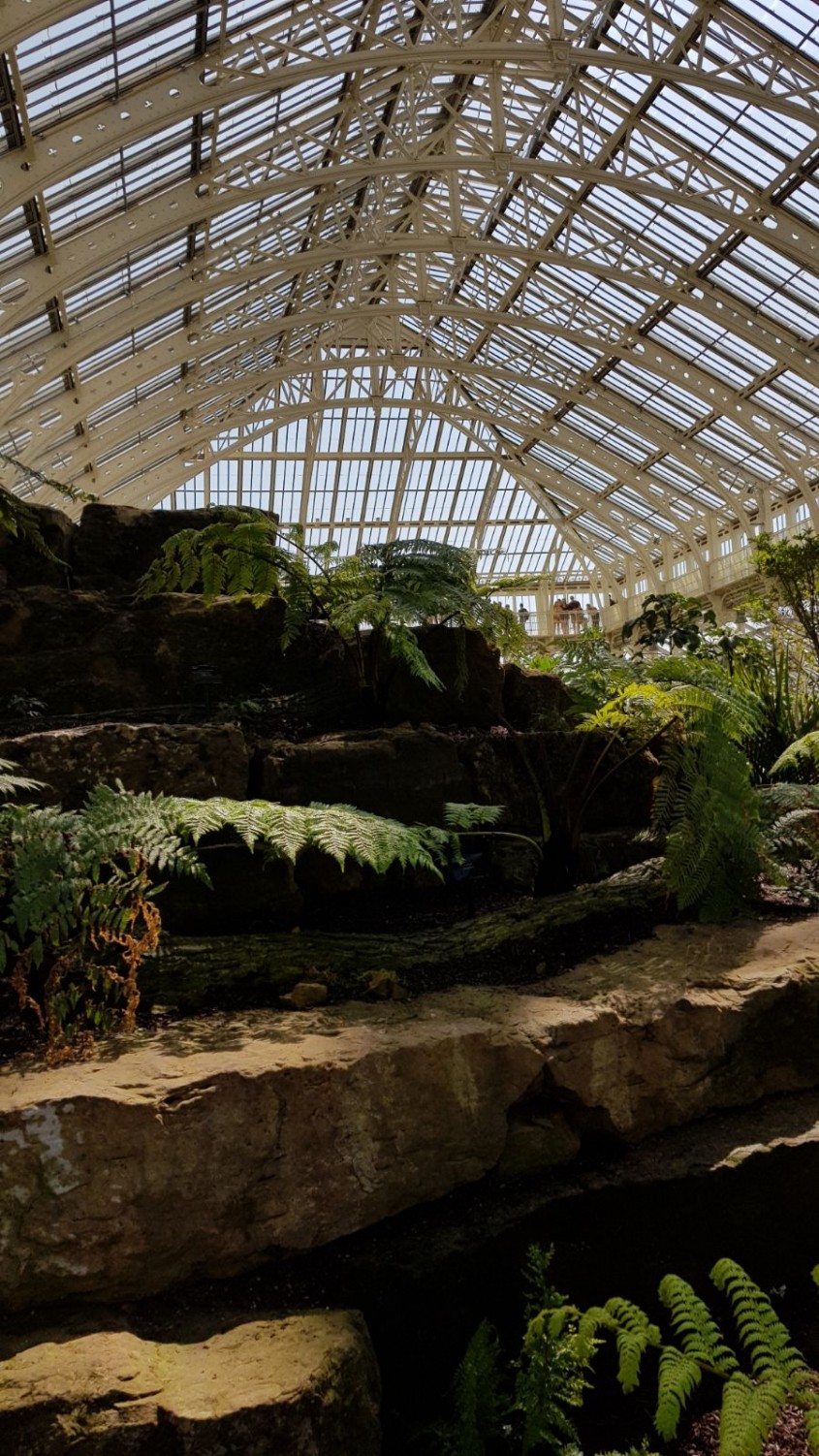 Spectaculoasa Temperate House, cea mai mare seră victoriană din lume, s-a redeschis