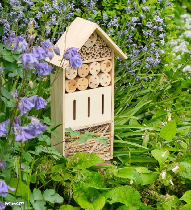 &bdquo;Hoteluri&rdquo; pentru insecte benefice: cum le construiești și unde le amplasezi