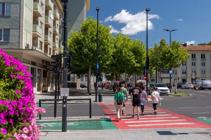 Avantajele plantării arborilor maturi pentru orașe