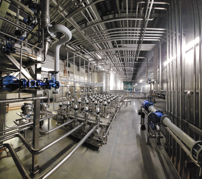 Raptronic Process Engineering - “Nucleul tehnologic’’ al fabricilor alimentare moderne