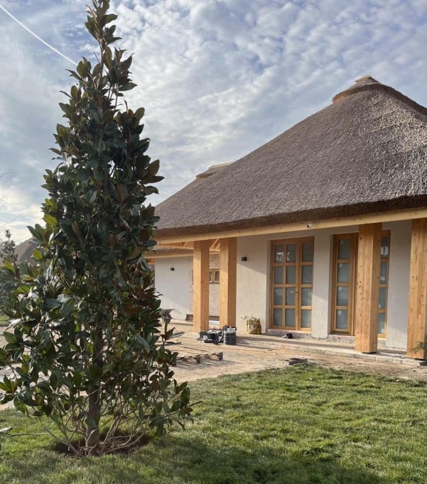 Copaci ornamentali cu creștere rapidă: transformă-ți grădina!