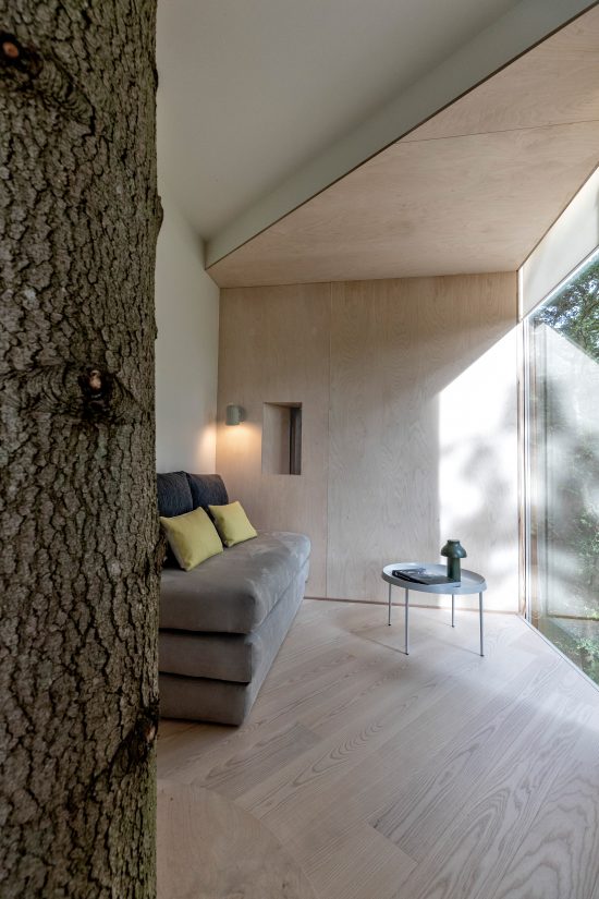 ”Hotelul din copac” construit într-o pădure din Danemarca
