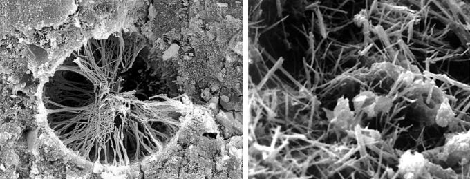 Foto obținute cu microscopul electronic sunt proprietatea XYPEX CHEMICAL Co Ltd. 
