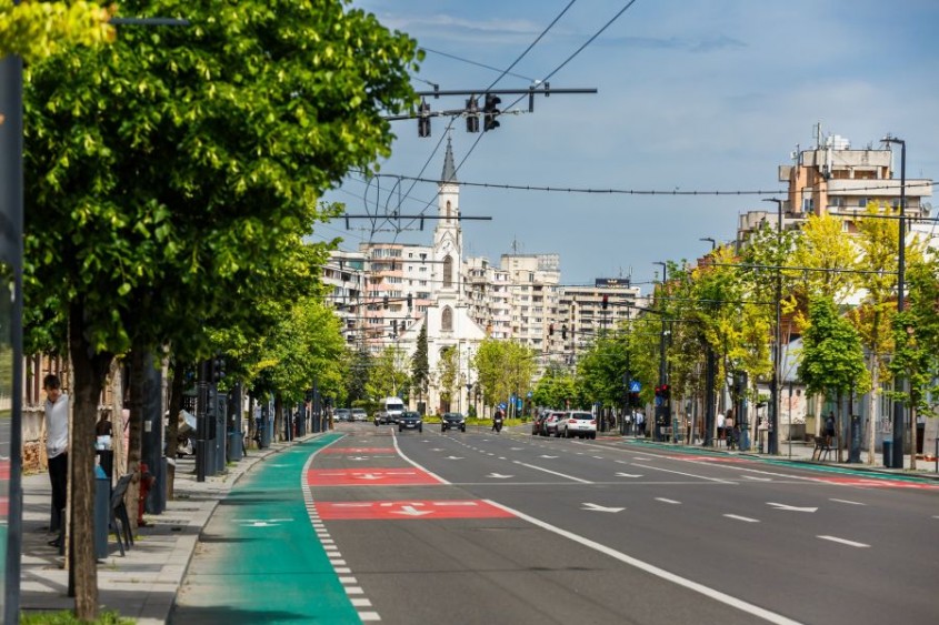 Avantajele plantării arborilor maturi pentru orașe