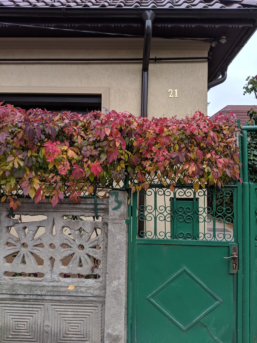 Cum s-a văzut noiembrie la noi. Imaginile cu care ne luăm rămas-bun de la toamnă