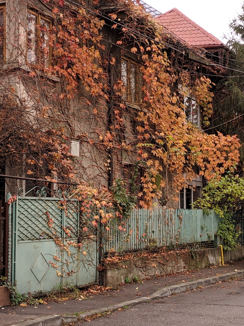 Cum s-a văzut noiembrie la noi. Imaginile cu care ne luăm rămas-bun de la toamnă