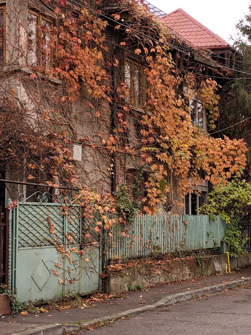 Cum s-a văzut noiembrie la noi. Imaginile cu care ne luăm rămas-bun de la toamnă 