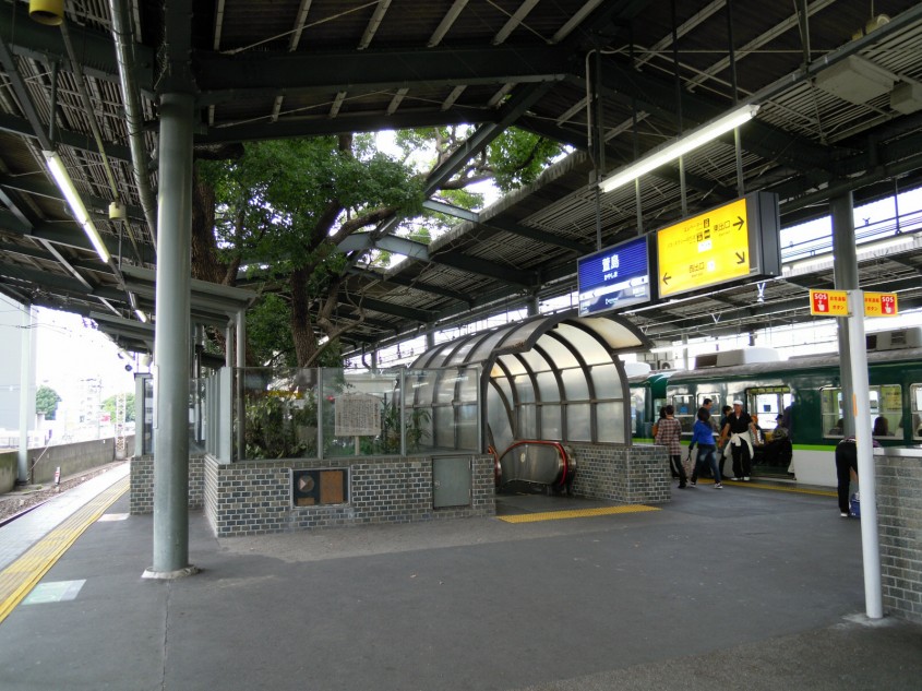 Gara construita in jurul unui arbore secular