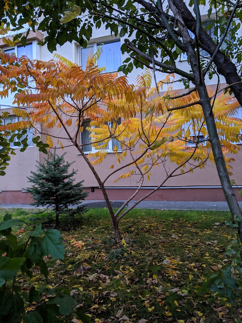 Cum s-a văzut noiembrie la noi. Imaginile cu care ne luăm rămas-bun de la toamnă