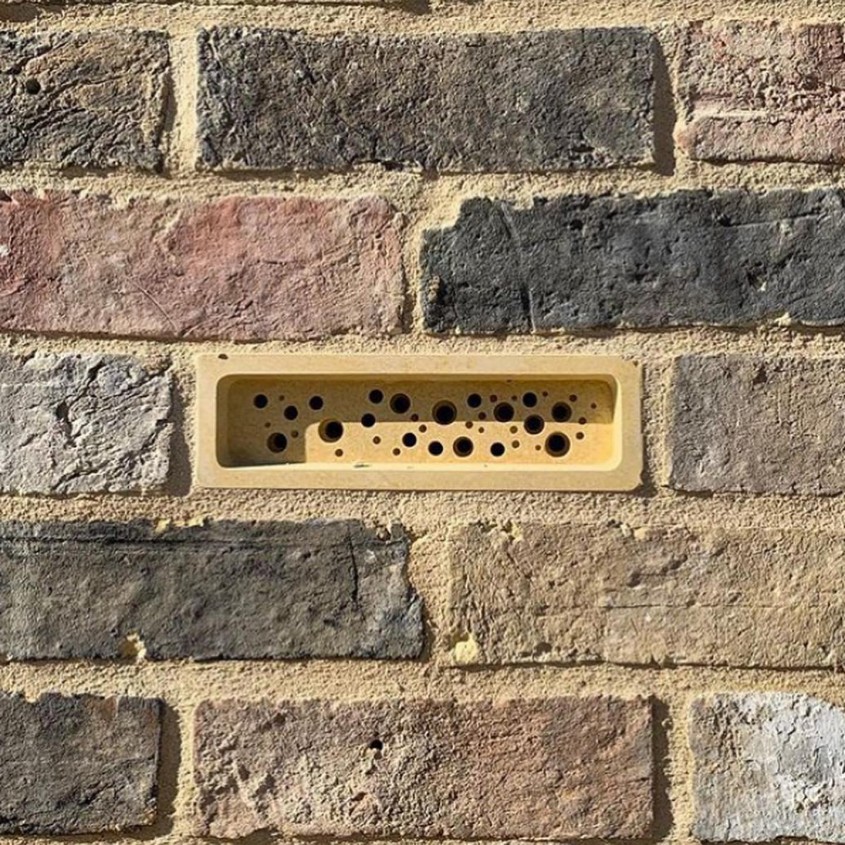 Oraşul în care toate clădirile noi trebuie să aibă cărămizi pentru albine
