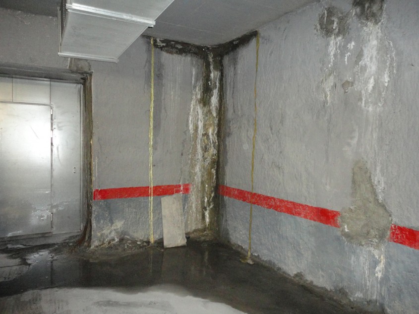 Funcționează Mursec Eco în subsoluri umede?