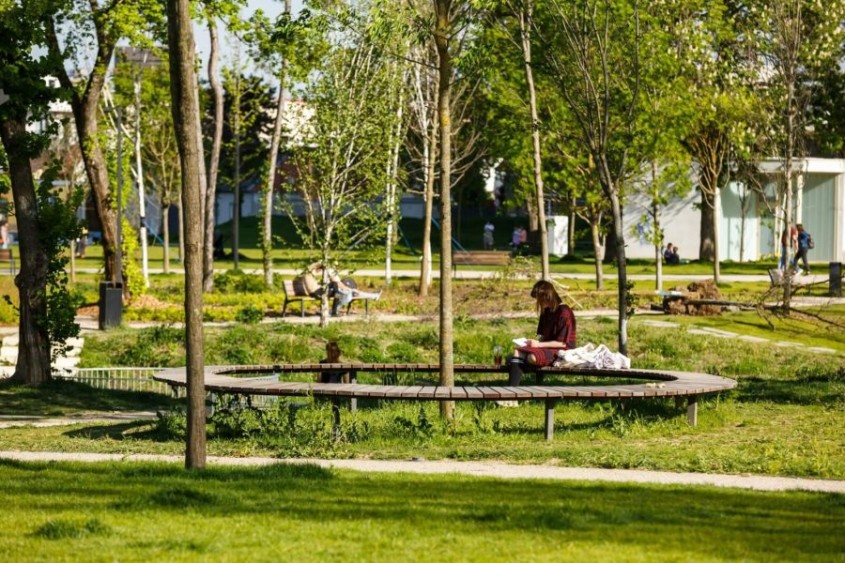 De ce spațiile verzi sunt esențiale pentru orașele moderne: Beneficii pentru comunități și autorități