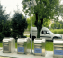 Platforme &icirc;ngropate pentru colectarea selectivă a deșeurilor &icirc;n Baia Mare