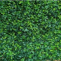 Perete verde artificial - VV 6008 GreenWall Meadow 1 m x 1 m