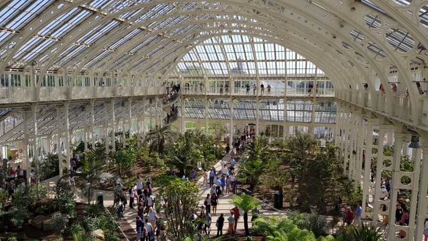 Spectaculoasa Temperate House, cea mai mare seră victoriană din lume, s-a redeschis