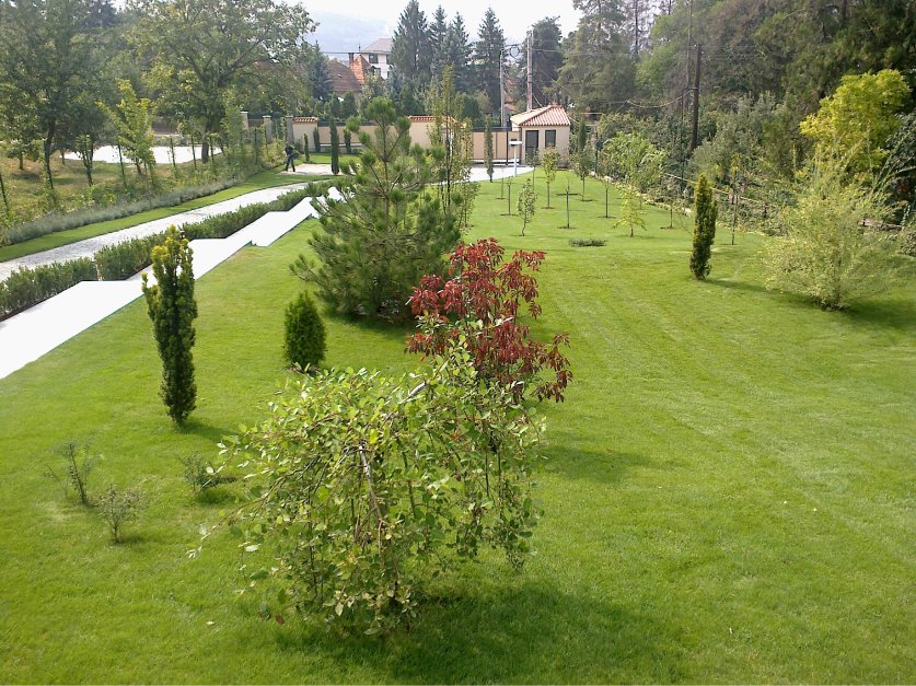 Cum influențează spațiile verzi valoarea unei proprietăți imobiliare?