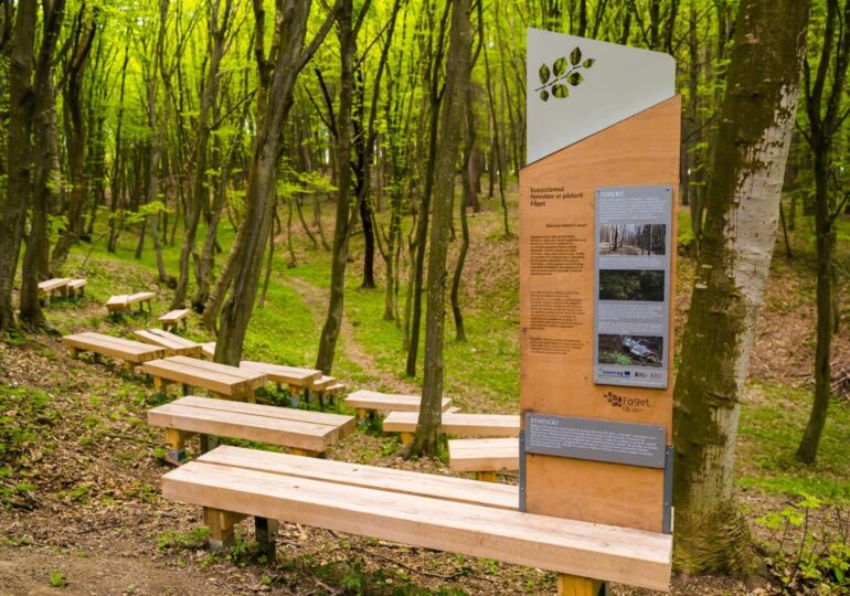 Proiectul Pădurea-parc Făget; Plămânul verde al Clujului, câștigător la New European Bauhaus 2024
