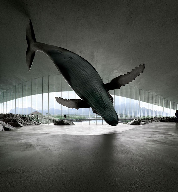 Un muzeu spectaculos pentru observarea balenelor
