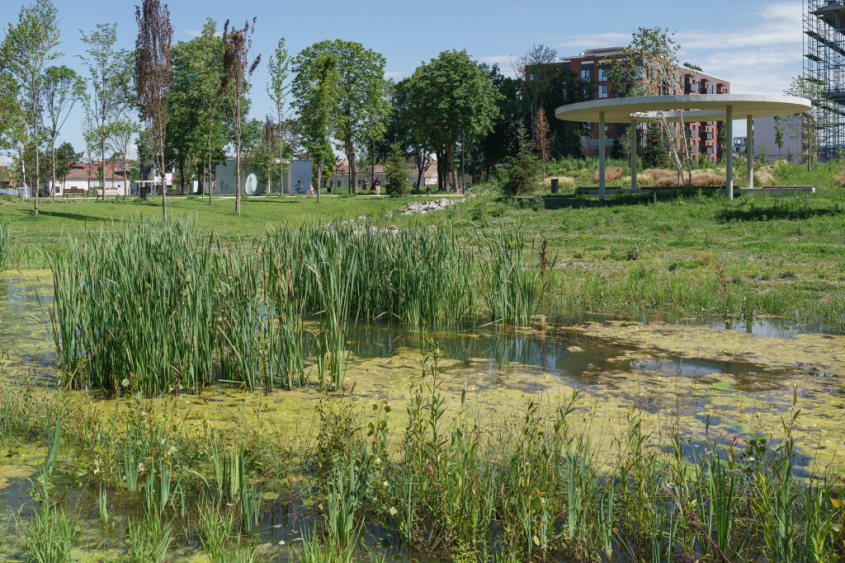 Cum arată Parcul Feroviarilor din Cluj-Napoca după modernizare
