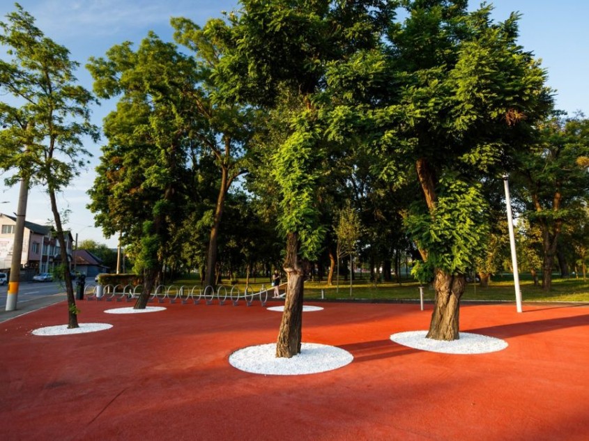 Cum Eco Garden Construct poate sprijini autoritățile publice în crearea și întreținerea spațiilor verzi publice