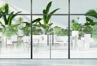 Reflectiv INT - Folie decorativa pentru sticla
