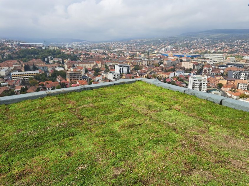 Rulourile de Sedum – soluția inovatoare pentru durabilitate, biodiversitate și eficiență energetică