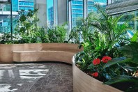 Amenajare birouri cu plante naturale: soluții complete pentru spații de lucru performante