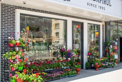Detalii - exterior florarie  Barlad Amedio Ideas