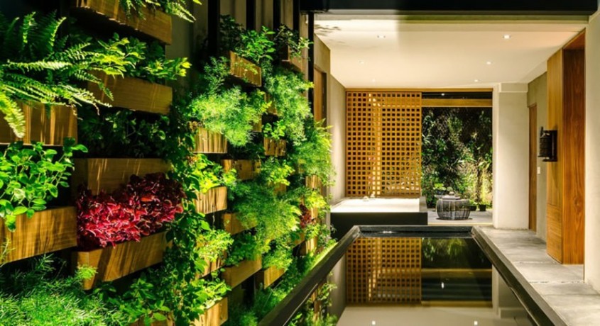 Grădinile verticale transformă această casă din Mexico City într-o oază exotică