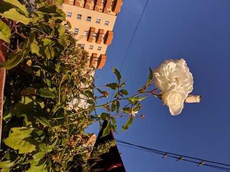 Cum s-a văzut noiembrie la noi. Imaginile cu care ne luăm rămas-bun de la toamnă