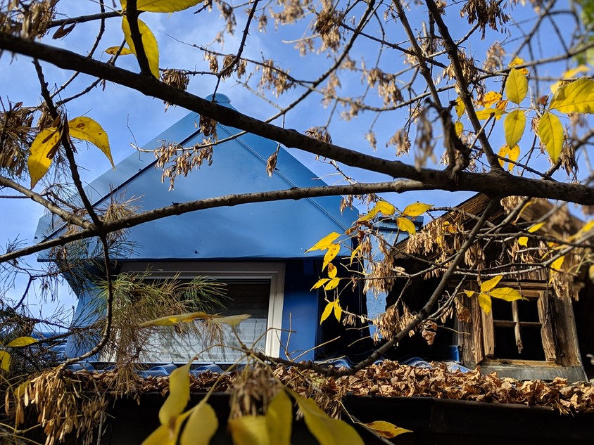 Cum s-a văzut noiembrie la noi. Imaginile cu care ne luăm rămas-bun de la toamnă
