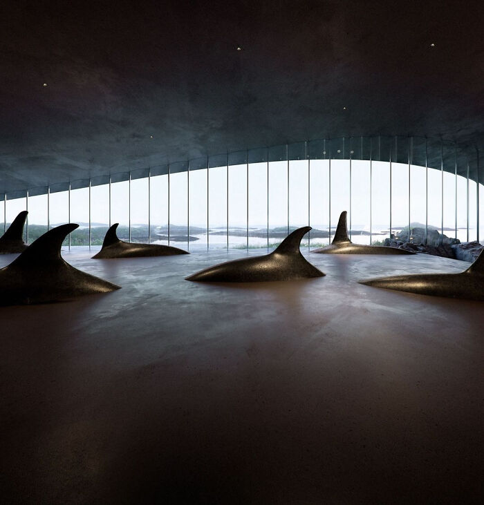 Un muzeu spectaculos pentru observarea balenelor