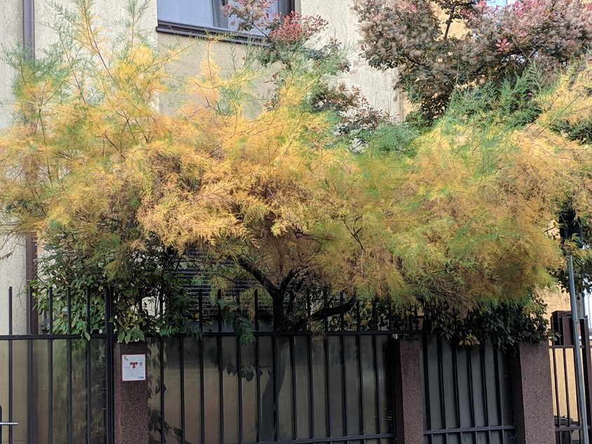 Cum s-a văzut noiembrie la noi. Imaginile cu care ne luăm rămas-bun de la toamnă