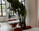 Sonorizarea restaurantului City Grill din Cazinoul Constanța &ndash; integrarea unui sistem audio profesional &icirc;ntr-o clădire monument