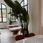 Sonorizarea restaurantului City Grill din Cazinoul Constanța &ndash; integrarea unui sistem audio profesional &icirc;ntr-o clădire monument