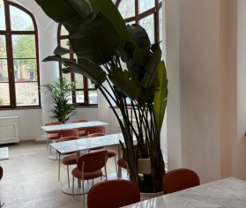 Sonorizarea restaurantului City Grill din Cazinoul Constanța &ndash; integrarea unui sistem audio profesional &icirc;ntr-o clădire monument