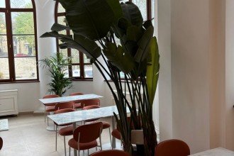 Sonorizarea restaurantului City Grill din Cazinoul Constanța &ndash; integrarea unui sistem audio profesional &icirc;ntr-o clădire monument