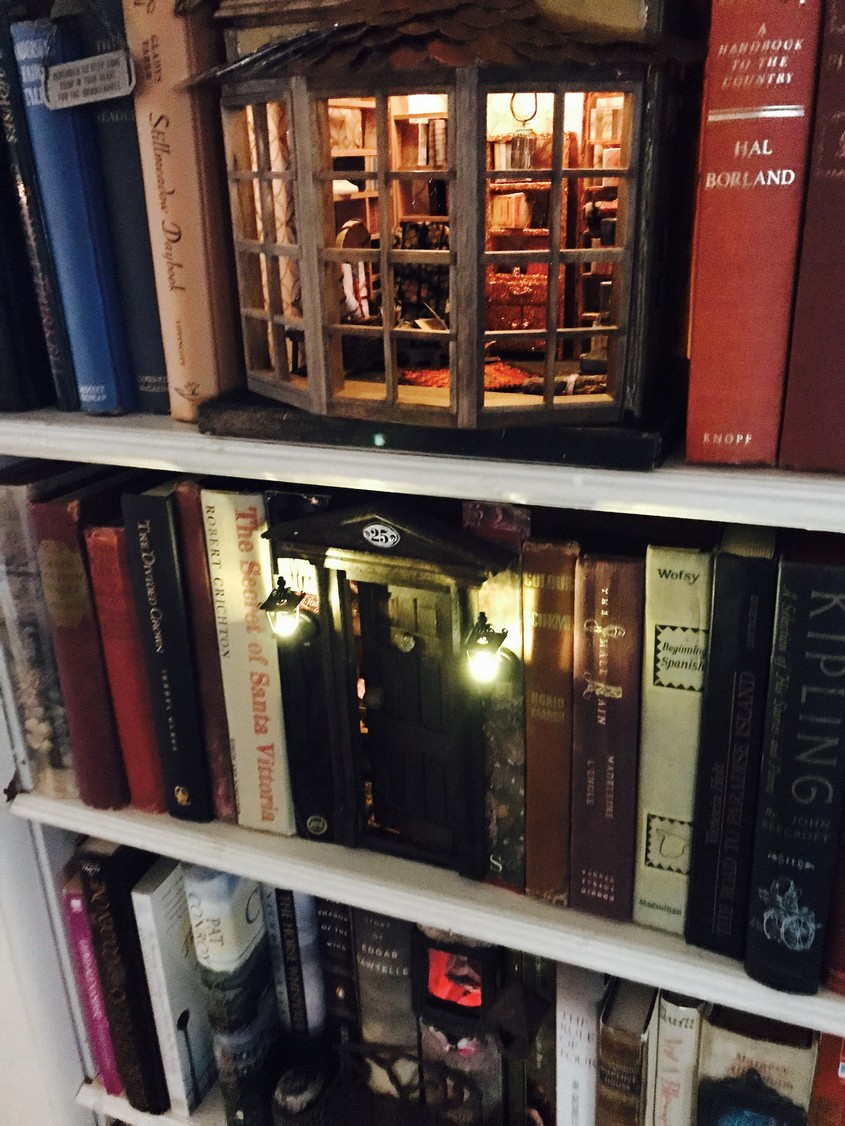 Magicele lumi în miniatură ascunse printre cărțile din bibliotecă
