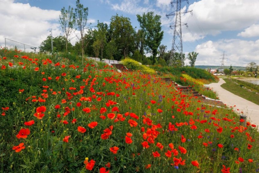 De ce arhitecții și dezvoltatorii aleg Eco Garden Construct pentru proiecte complexe