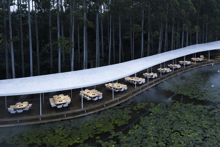 Un restaurant inedit care șerpuiește printr-o pădure de eucalipt