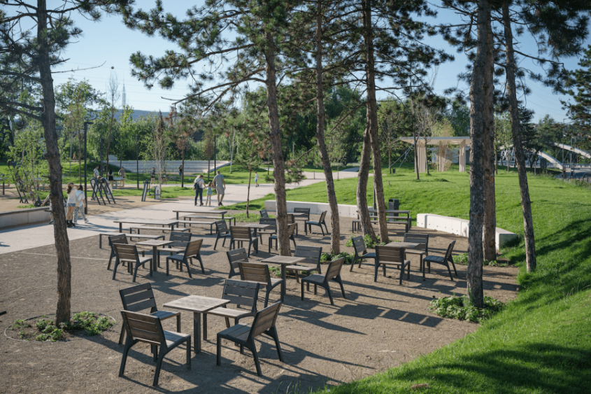 De ce spațiile verzi sunt esențiale pentru orașele moderne: Beneficii pentru comunități și autorități