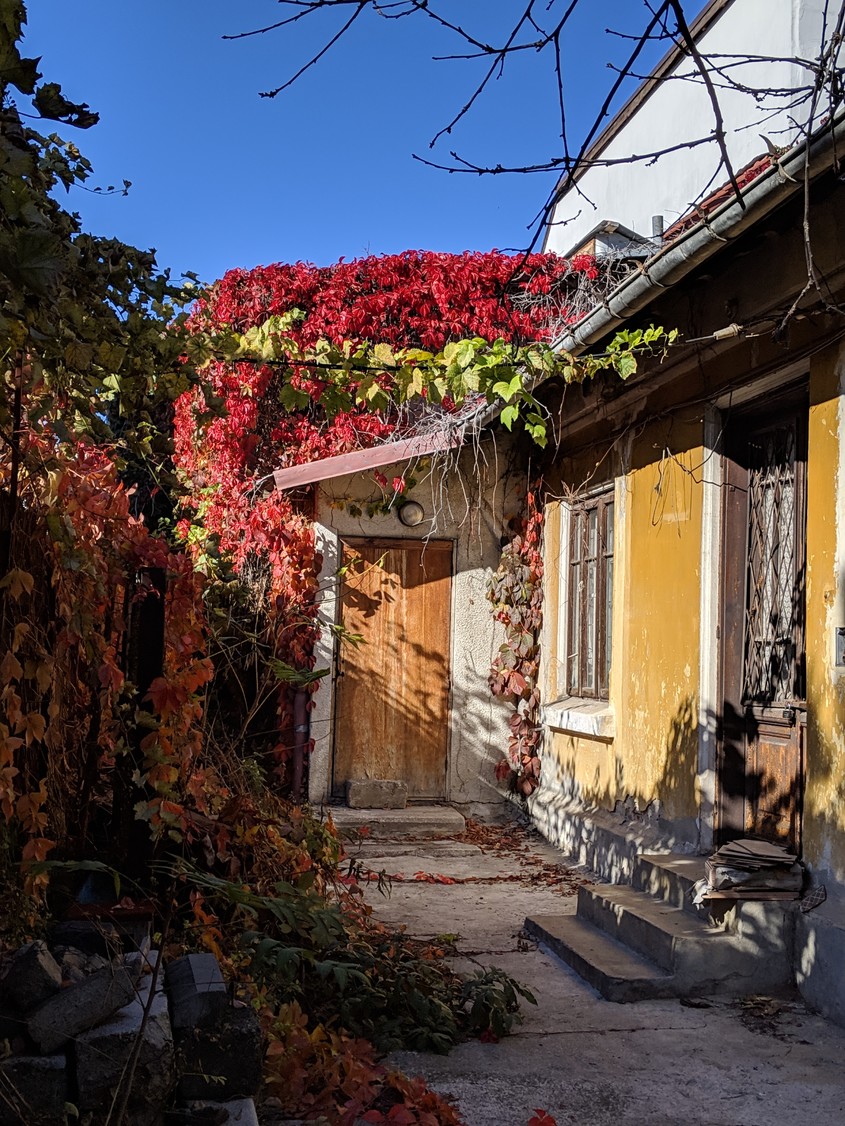 Cum s-a văzut noiembrie la noi. Imaginile cu care ne luăm rămas-bun de la toamnă
